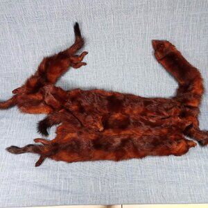 1940's Dark Brown Russian Fischer Six Mink Fur Stole